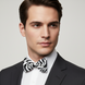 Zebra print bow tie product shot